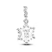 ZURWTCH Sparkling Herbarium Cluster Dangle Charm Fit Women Bracelet Necklaces Fashion Gifts 925 Sterling Silver DIY Jewelry (Sparkling Snowflake Double Dangle Charm M1871)
