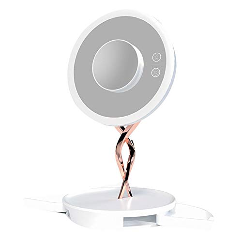 Preisvergleich Produktbild ERGGQAQ LED-Make-up-Spiegel, Galvanikmetallhalterung Kosmetikspiegel mit versteckten Aufbewahrungsbehältern und Fach, Magneten 10X Vergrößerungsglas Fill Light Light, für Schlafzimmer, Badezimmer