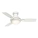 Hunter Fan Company 59153, 44 inch Verse Snow White Indoor / Outdoor Ceiling Fan with LED Light Kit and Handheld Remote