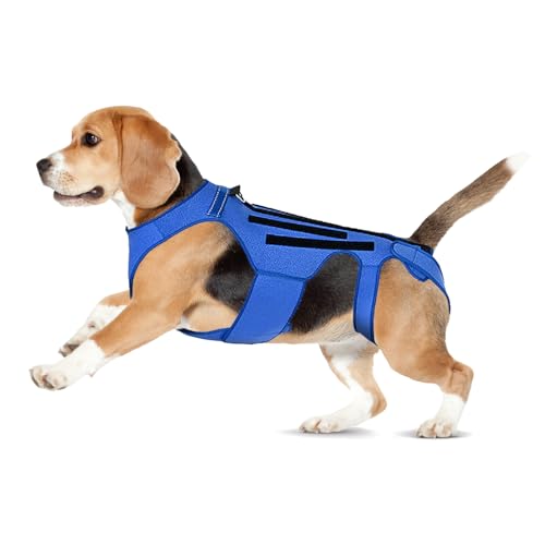 Image of Dog Back Brace for Dogs Arthritis, Dog Intervertebral Disc Protective, Dog Back Protective Brace Helps Pain Relief, Facilitate Surgical Recovery, Prevent Back Diseases in Dogs. (L)