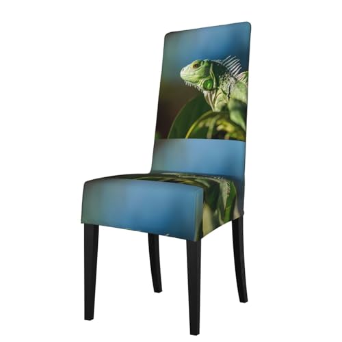 YUGTAEE La funda para silla de comedor Green Lizard Picture es fácil de desmontar y está hecha de tela de alta resistencia que es resistente al desgaste