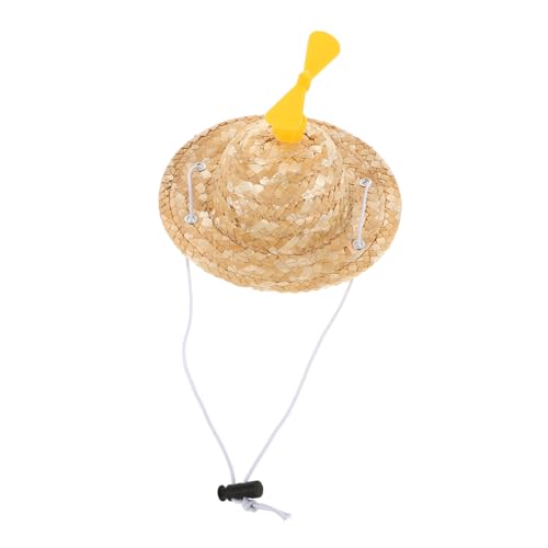 DEARMAMY ߉\ȏ^Lp|x Xq lGʗp̉ybgp҂ݖXq ɂȑpnbg