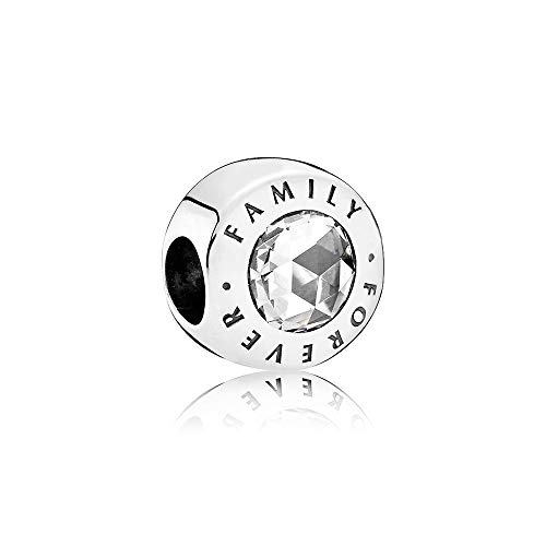 Abalorio de plata S925 Family Forever con piedras de nacimiento para pulseras