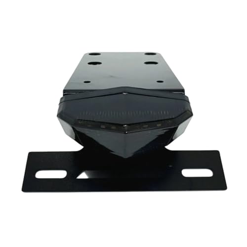 Support de plaque d'immatriculation arrière LED rigide pour 250SF