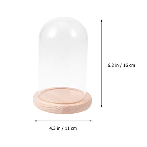 Glass Display Dome Cloche Tabletop Display Case Clear Glass Jar with Wooden Base DIY Craft Making Supplies 10x16cm - Image 4