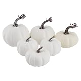 Eujgoov Fake Pumpkins Artificial Pumpkins for Halloween Fall Thanksgiving, Lifelike Fake Fruit White Pumpkins, Wholesale Faux Pumpkins Decorate Home Simple Thanksgiving Table Setting