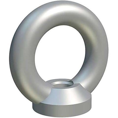 M10 Galvanized Lifting Eye Nuts for Rigging Cover