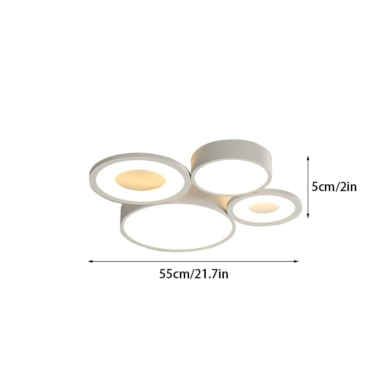 Plafonniers à LED modernes avec corps de lampe en fer robuste - 5