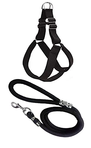 Senapati Dog Harness and Rope 15 MM Set (Black, Medium) (B092ZTDWBT) Amazon Price History, Amazon Price Tracker