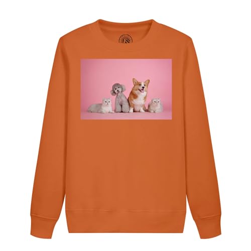 Sweatshirt enfant chat et chien animaux domestiques photo drôle et motif mignon
