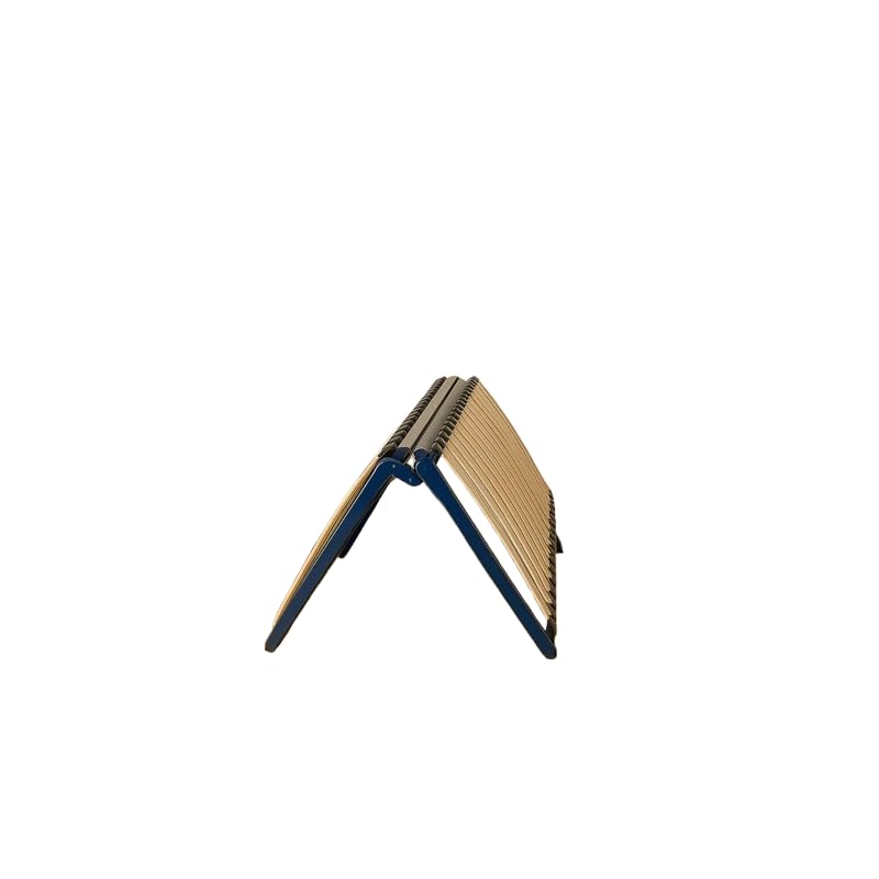 Sommier Pliable - Couchage 160 cm - Sommier 2 Places à Lattes 40 Lattes Multiplis – Cadre Métal Époxy, Lit Gain de Place, Pliable et Compact, Facile à Transporter