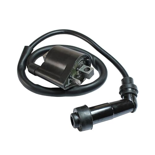 Bobine allumage pour restaurer un quad Warrior 350 et partir en randonnée serein