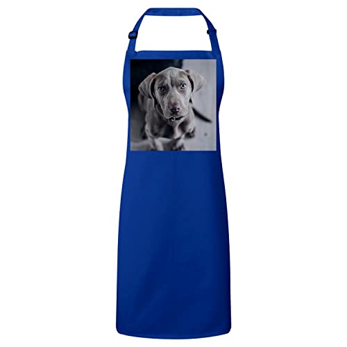 Tablier cuisine premium bleu braque de Weimar en coton robuste et élégant