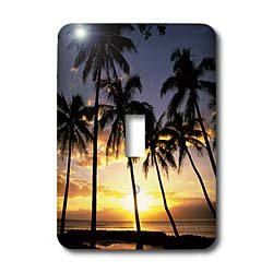 Interrupteur Douglas Peebles resistant aux UV motif Maui coucher de soleil