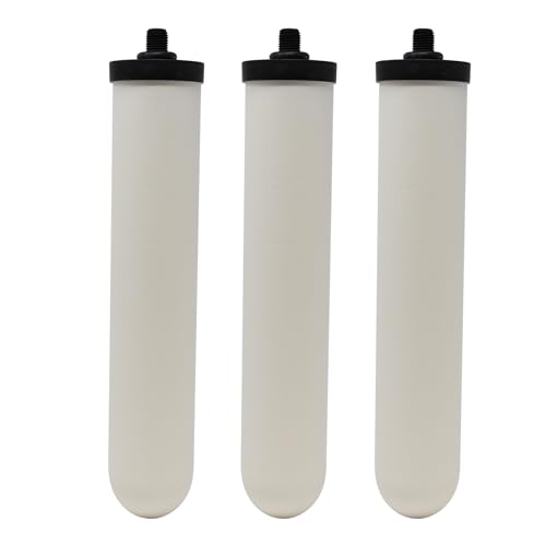 Bougies filtrantes céramique 25,4 cm NEWTON compatibles Doulton 9504 9501