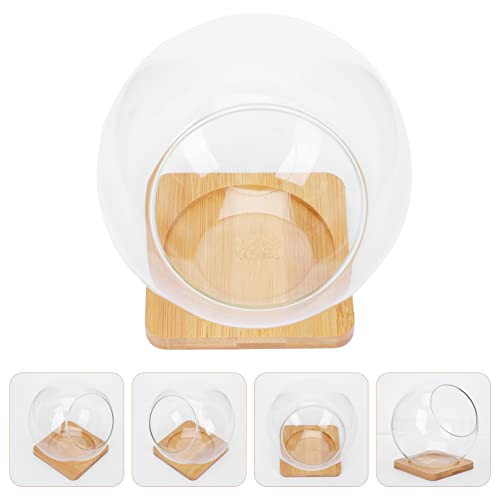 YARNOW Glass Terrarium Vase Bubble Bowl Pot Slant Cut Globe Mini Display Tabletop Transparent for Candy Plant Home Office Decor - Image 4