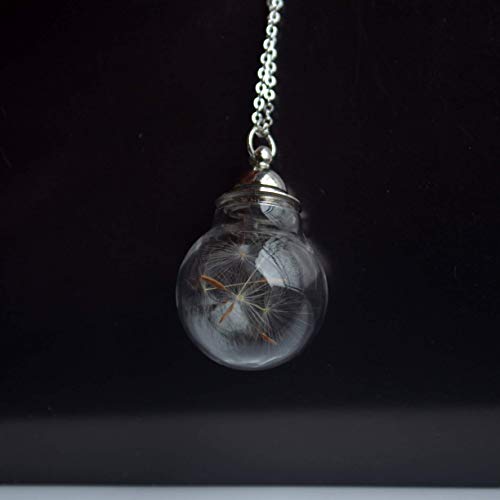 Dandelion Make A Wish Real Flower Cylinder Glass Ball Openable Pendant 925 Sterling Silver Necklace #TOP6