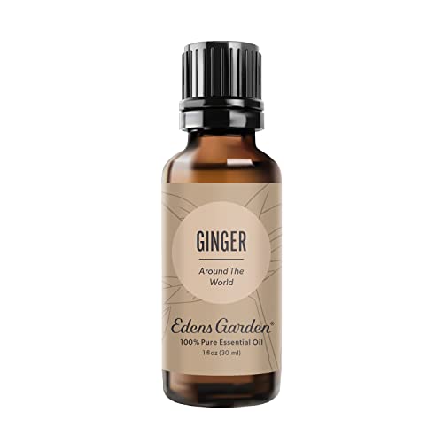 Edens Garden Ginger Around The World Essential Oil- 100% Pure 30 ml (1 oz)