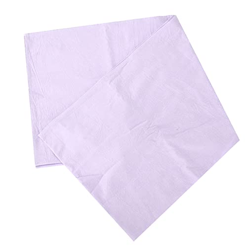 Tbest Coperta per divano da massaggio del salone di bellezza, coperta da letto in morbido cotone con atmoniaca per il viso per esperienze di massaggio confortevoli (80 x 200 fori in tessuto)