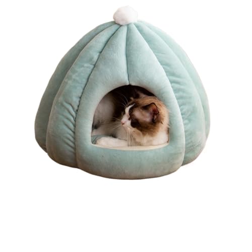 Tuyiutm L xbh ybg nEX h[^ ӂӂ  J{` _炩 NbVt \tg ~ 􂦂 Q g h Lbg ^  ybgpi ~ (D,L 50*50*40CM)