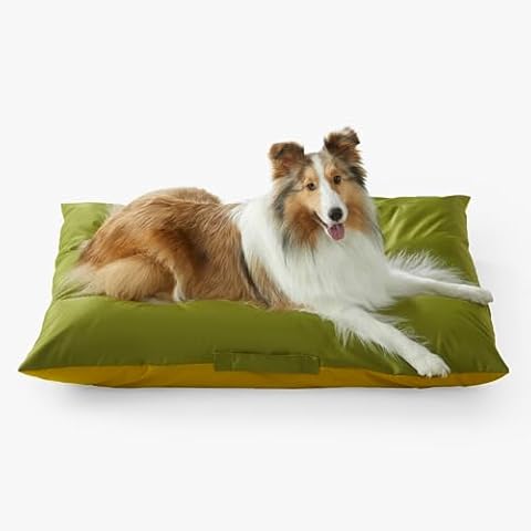 Allisandro Outdoor Dog Bed Pet Pad Tough Pet Pillow with Removable Cover, Scratch and Water Resistant, Pear/Olive Green, 40 X 30 X 4 Inches Cover