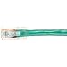 3Ft Bbxconn Cat5e Patch Cbl-Utp