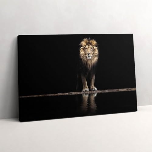 Tableau photo sur toile lion sauvage Wallfluent 60x40cm pour mur blanc vide