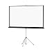 Da-Lite Carpeted Picture King Matte Gray 106" Diagonal Portable Projection Screen