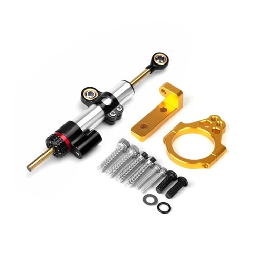 Kit support de support d'amortisseur direction stabilisateur moto QJ SRK 800RR