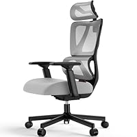 ProtoArc EC100 Sedia da Ufficio Ergonomica – Sedia da Scrivania con Cuscino a Molla da 10 cm