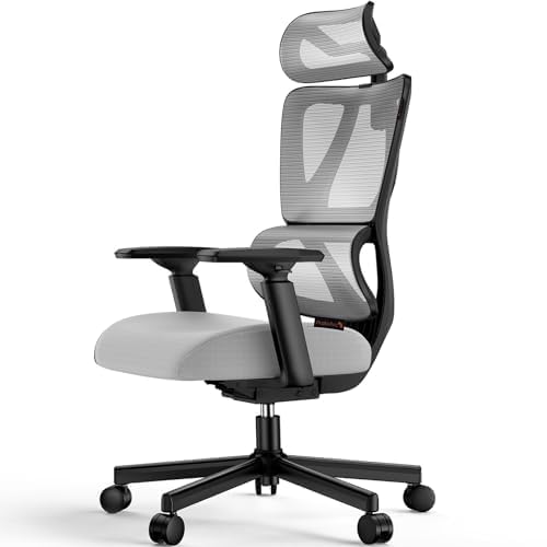 ProtoArc EC100 Silla de Oficina Ergonómica, de Escritorio con Cojín de Resorte de 10 cm, Soporte Lumbar, Reposabrazos y Reposacabezas Ajustables, Silla Giratoria de Malla para Oficina en Casa, Gris