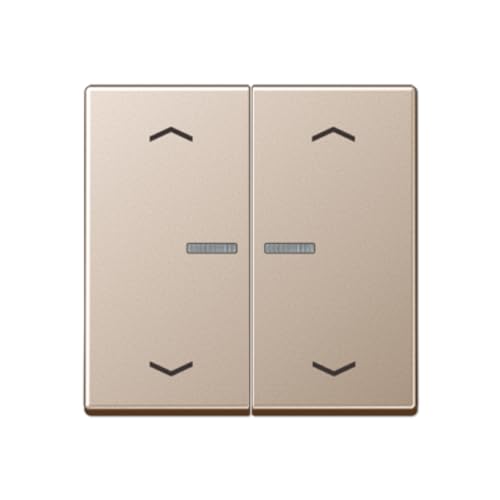 Bouton poussoir double JUNG A102KO5PCH avec voyant et symbole cave