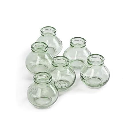 Serene Spaces Living Mini Green Glass Vase Cover