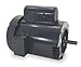 50 Hz Motor,1/3 HP,1,425 RPM,110/220V