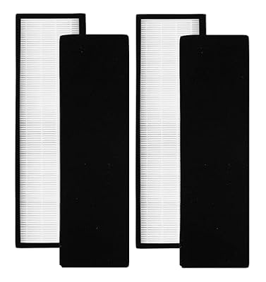 FLT4825 Filter B Replacement ，Compatible For GermGuardian ，AC4825 AC4825E AC4300 AC4800 AC4880 AC4900 AC4850 Air Purifier(2set)