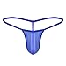 iEFiEL Sexy Mens Bulge Pouch G-String Bikini Underwear Mesh Transparent Thong