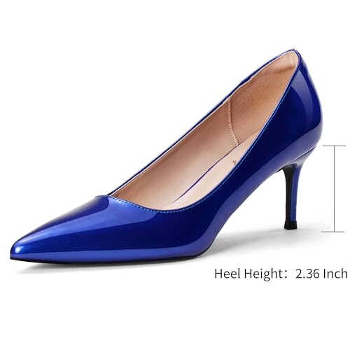 Elisabet Tang Kitten Heel Low Pumps 2.4 Inch Closed Pointed Toe Short Sexy Comfort Women Dressy Shoe at Work Office Date Prom Party Wedding Church2