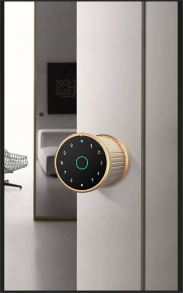 Verrou d'empreintes digitales pour ne plus jamais perdre ses clés de maison