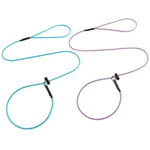Dog Slip Lead Puppy Training Leash – 5/32 Inch Thin Reflective Paracord Leads with 12-Core Strength, 1000lb Pull Force Set of 2 for Small & Medium Dogs(Purple & Light Blue, 5 FT) by FURSDOLY - Used condition - US$14.55