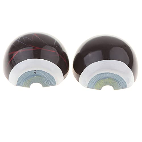 Tongina Magnification 3X Human Eye Model Anatomy Learning Tool Lab Supplies