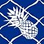 Pineapples