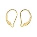 Gold Filled Earrings Interchangeable Lever Backs, 1-pair