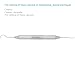 Dental Sickle Scaler, Anterior, Towner-Jacquette, U15-33 (Scaler)
