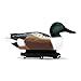 Final Approach Live Floating Northern Shovelers, Decoy 6 Pack in Green