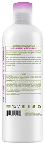 Petal Fresh Superfoods Color Shield Conditioner (Açaí, Vitamin C & Macadamia Oil) | Superfoods Beauty #TOP1