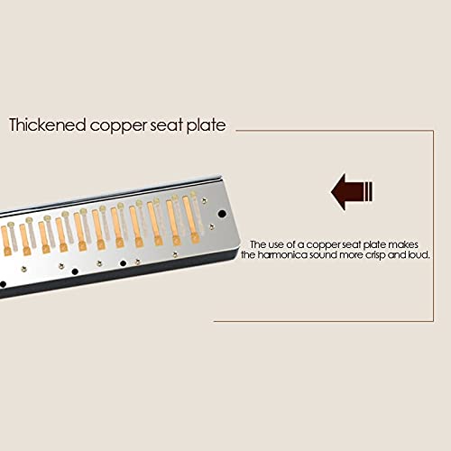 Harmonica Harmonica couleur 16 trous 64 harmonica C instrument professionnel - Les Beatles, Paul McCartney, John Lennon, RIngo Starr, George Harrison Harmonica Harmonica couleur 16 trous 64 harmonica C instrument professionnel – Image 6