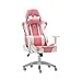 JNOIHF Chaises de jeu ergonomiques haut de gamme, chaise de joueur d'ordinateur de style de course Puce Appuie-tête en cuir et soutien lombaire Style Racing Back High Back Video Game Chaises for adult