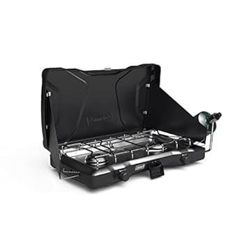 best propane heating stoves