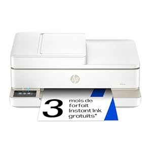 HP Envy 6520e, 714N9B, Imprimante Multifonction Jet d'encre A4, Couleur, Recto Verso Automatique, Jusqu'à 10 ppm, Wi-FI, Chargeur Automatique, Fax, 6 Mois de Forfait Instant Ink Gratuit, Portobello