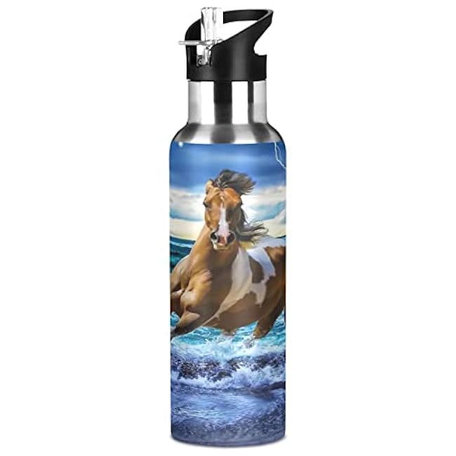 ALAZA Fire Rainbow Dragon Water Bottle with Straw Lid Vacuum Insulated Stainless Steel Thermo Flask Water Bottle 20oz